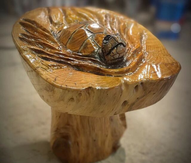 Tartaruga gallery scultura in legno